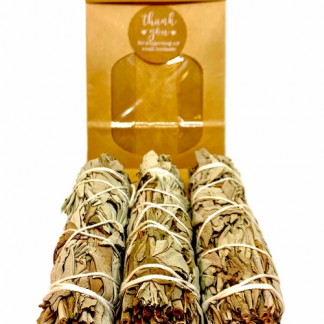 White Sage Smudge Pack of 3