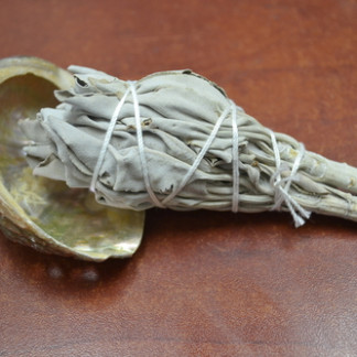 Mini White Sage + Green Abalone Shell Smudge Kit